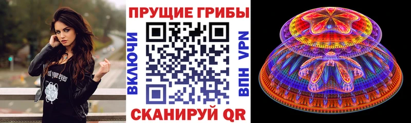 Псилоцибиновые грибы прущие грибы  гидра ONION  Абакан  где продают наркотики 