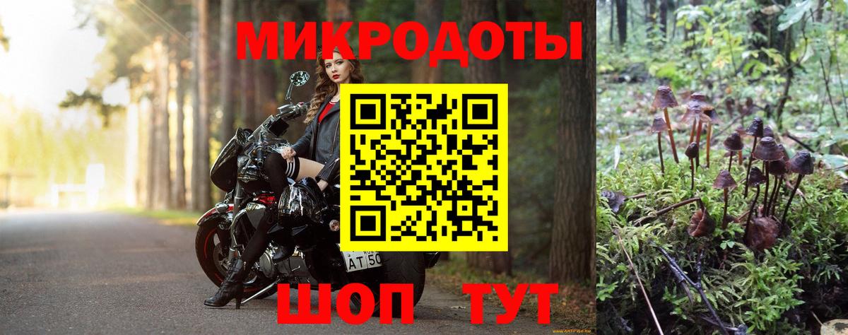 Галлюциногенные грибы Psilocybe  Абакан  Галлюциногенные грибы Magic Shrooms 