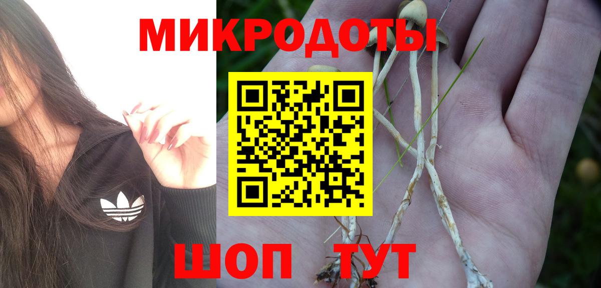 Псилоцибиновые грибы MAGIC MUSHROOMS Абакан